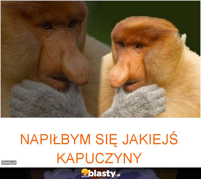 Napiłbym się jakiejś kapuczyny