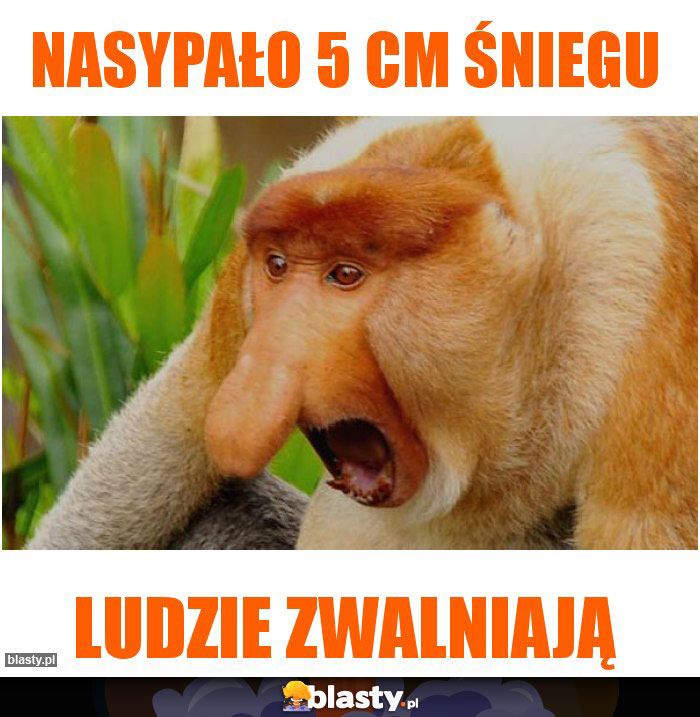 Nasypało 5 cm śniegu