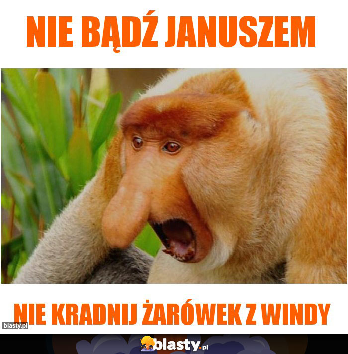 NIE BĄDŹ JANUSZEM