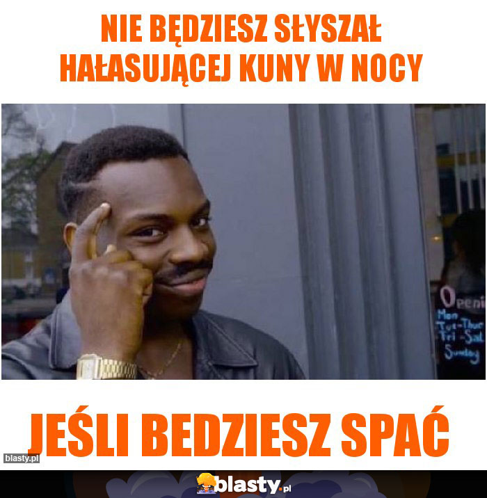 nie będziesz słyszał hałasującej kuny w nocy