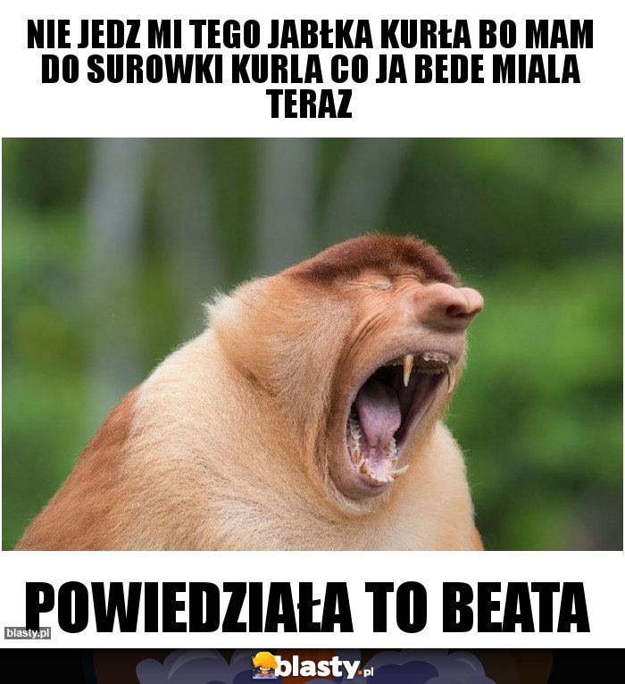 Nie jedz mi tego jabłka Kurła bo mam do surowki kurla co ja bede miala teraz