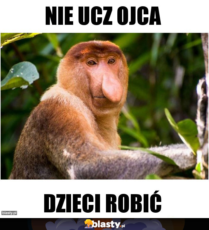 Nie ucz ojca