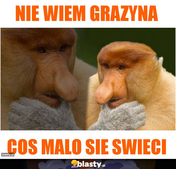 nie wiem Grazyna