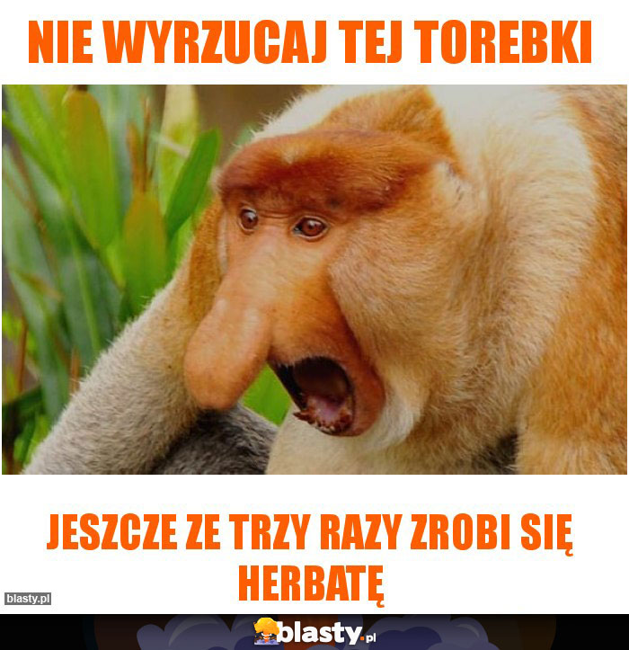 Nie wyrzucaj tej torebki