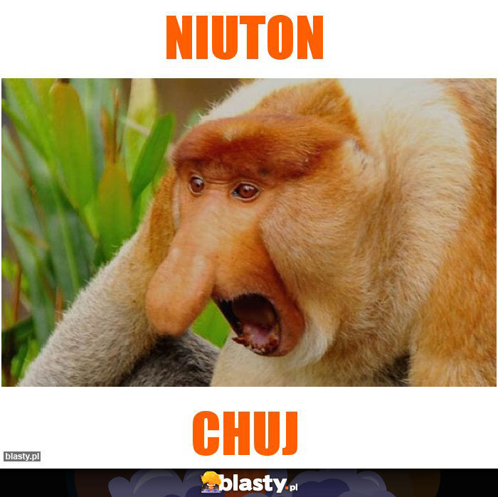 Niuton