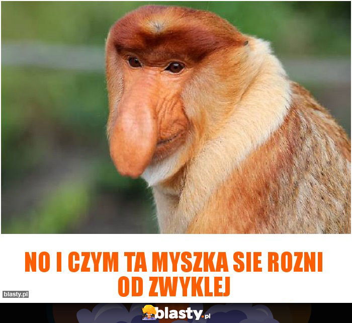 no i czym ta myszka sie rozni od zwyklej