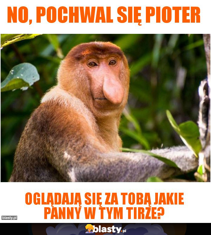 NO, POCHWAL SIĘ PIOTER