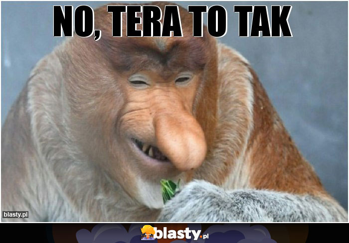 No, tera to tak