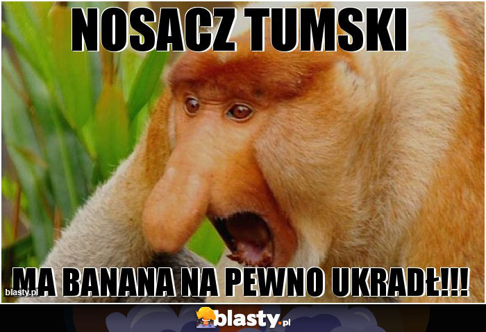 NOSACZ TUMSKI