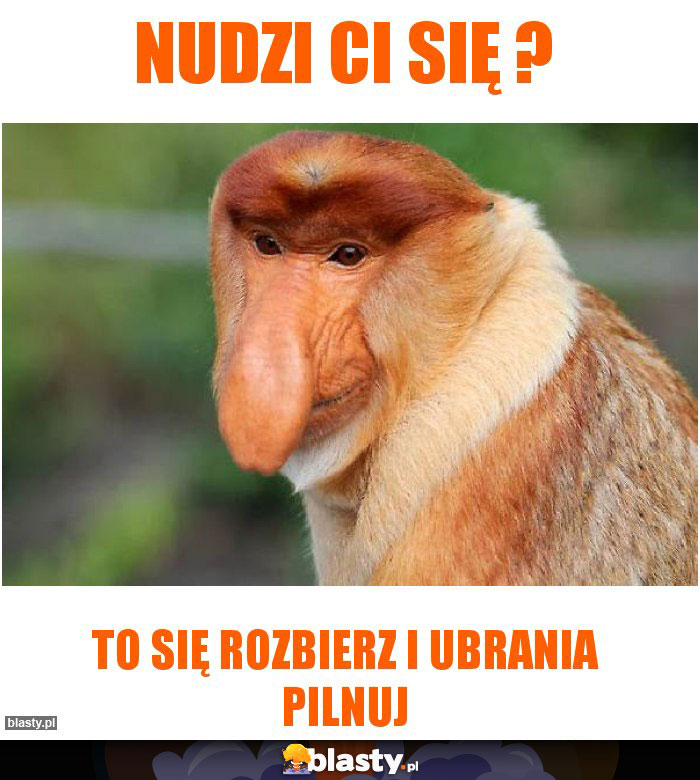 Nudzi Ci się ?