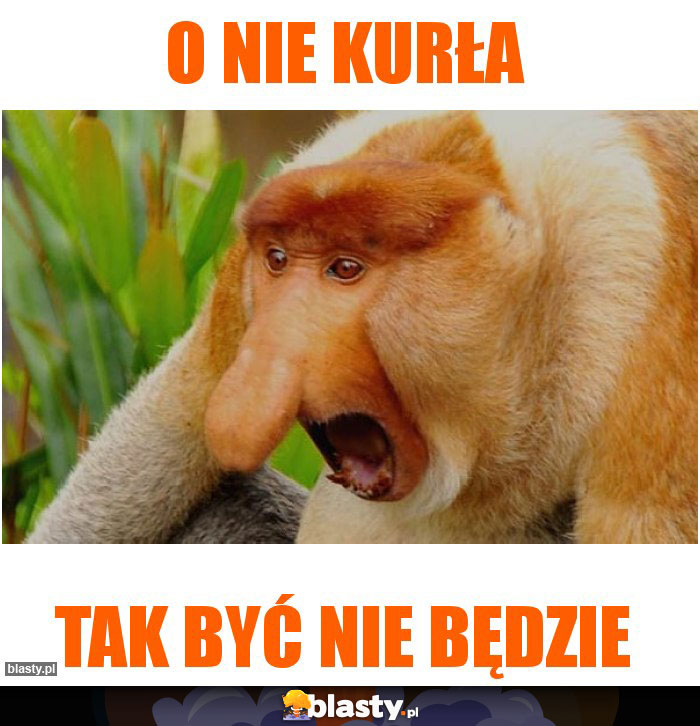 O nie kurła