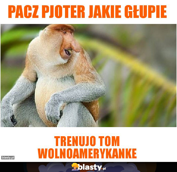 Pacz Pjoter jakie głupie