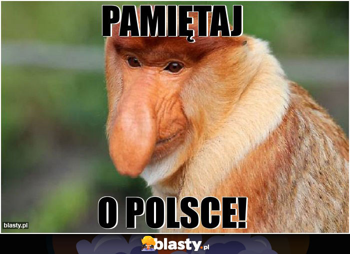 Pamiętaj