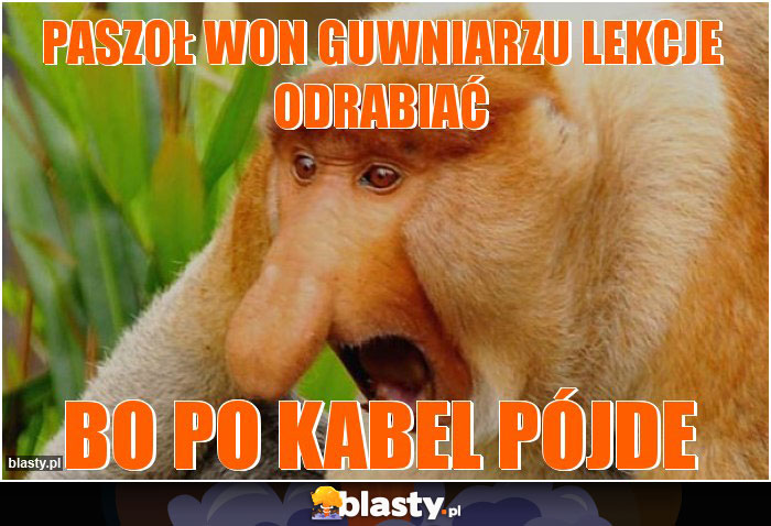 PASZOŁ WON GUWNIARZU LEKCJE ODRABIAĆ