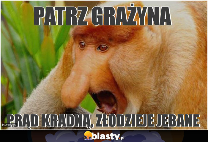 Patrz Grażyna