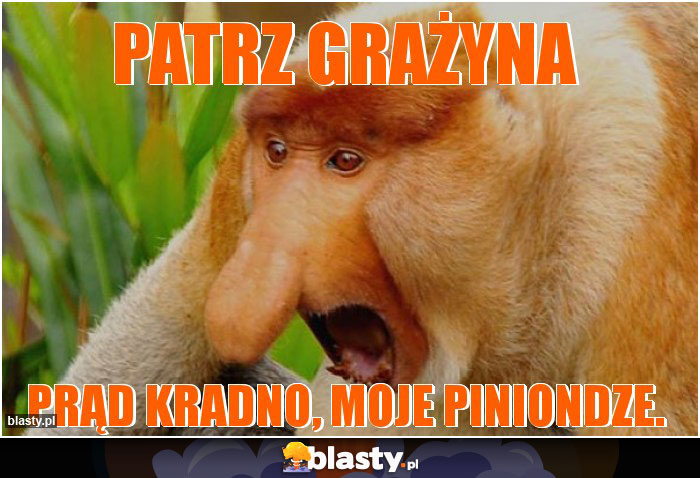 Patrz Grażyna