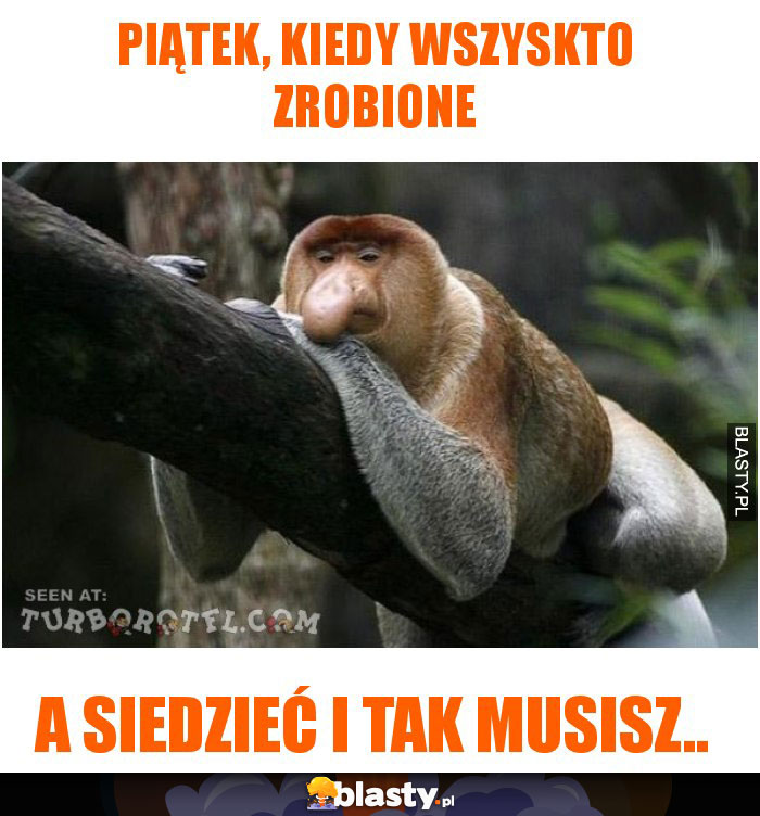 piątek, kiedy wszyskto zrobione
