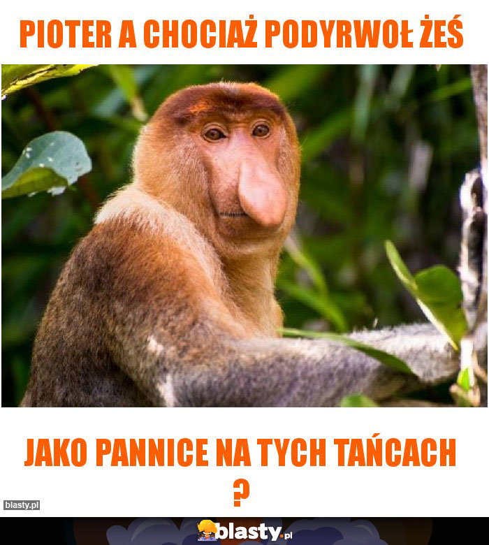 Pioter a chociaż podyrwoł żeś