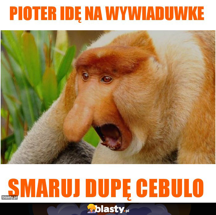 Pioter idę na wywiaduwke