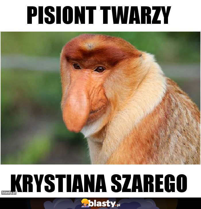 Pisiont twarzy