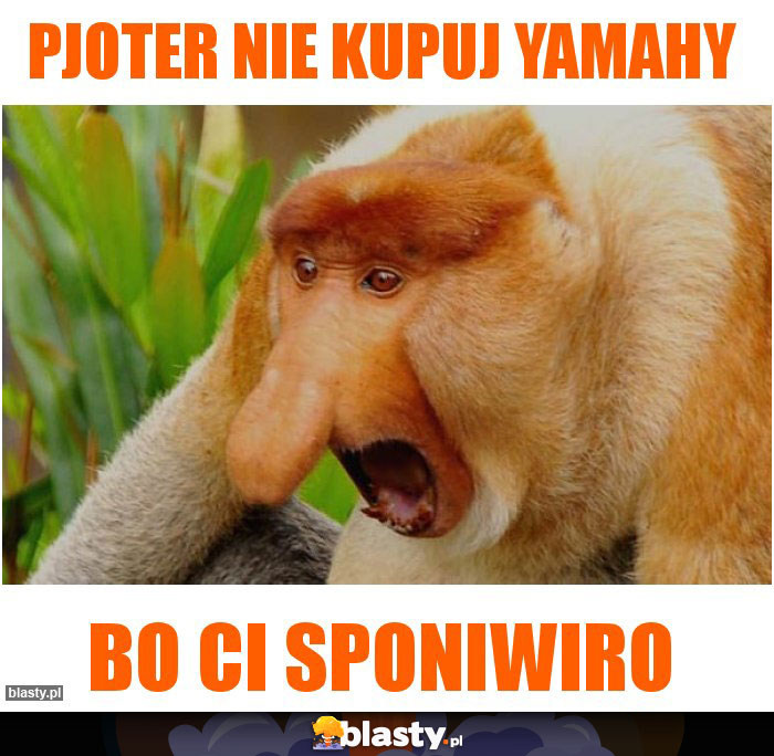 Pjoter nie kupuj YAMAHY