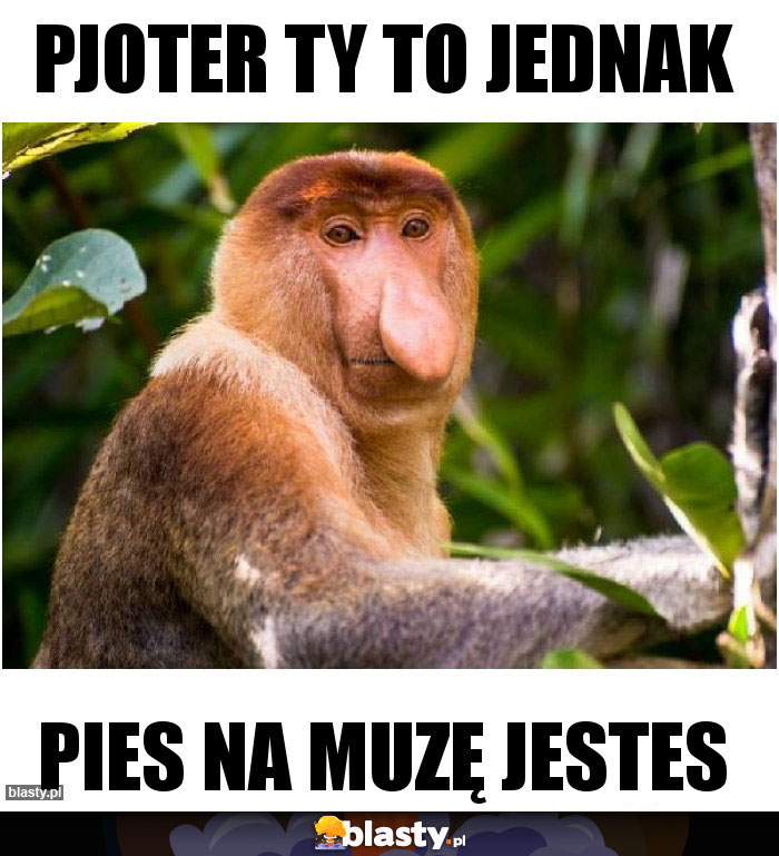 Pjoter Ty to jednak