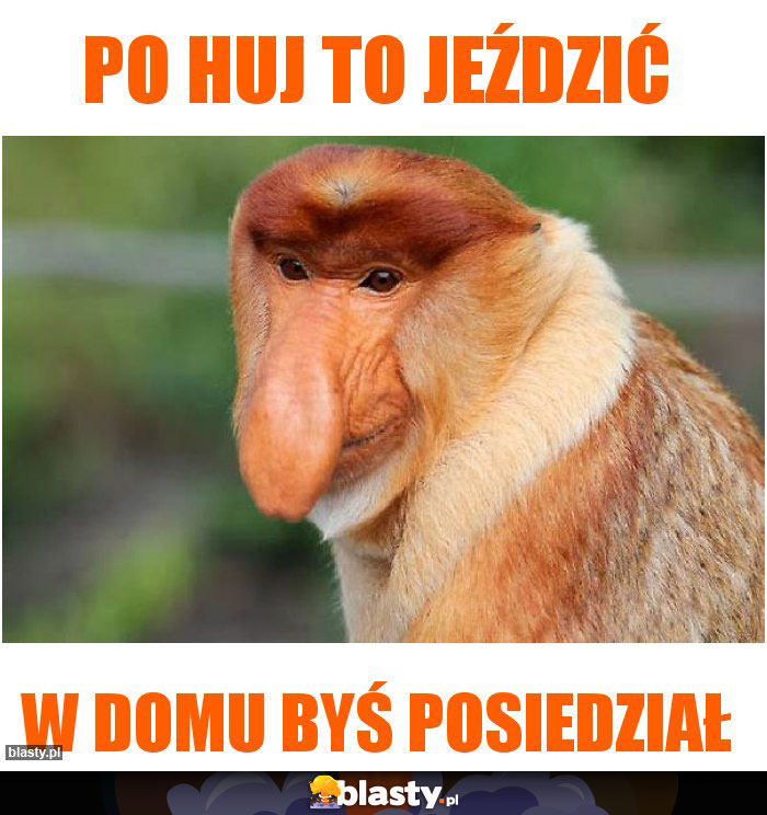 Po huj to jeździć