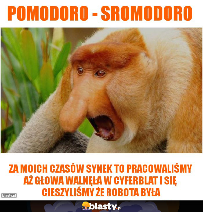 Pomodoro - sromodoro