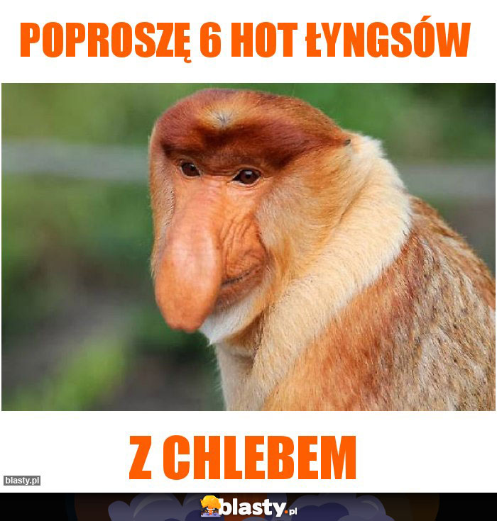 Poproszę 6 hot łyngsów