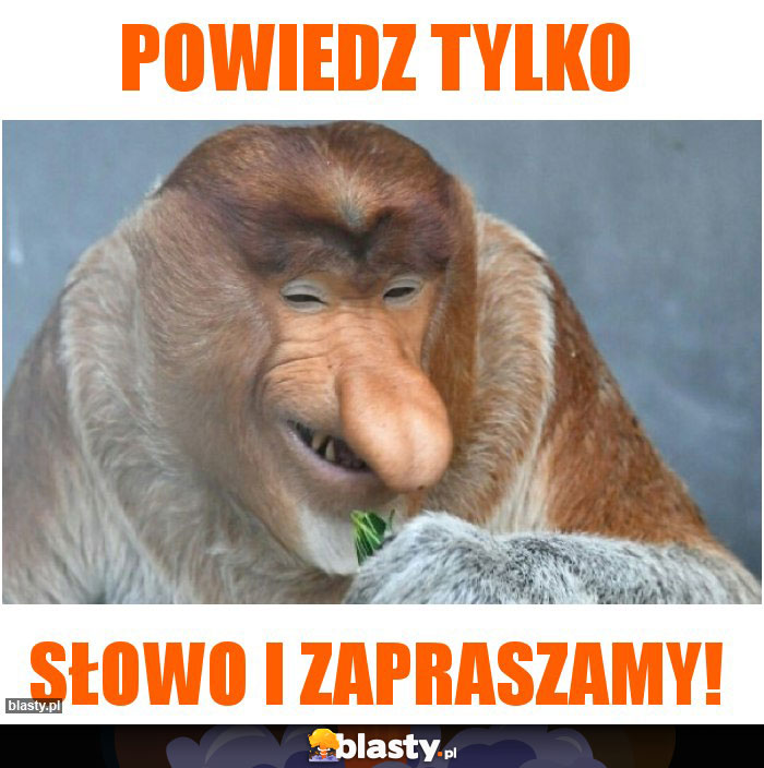 powiedz tylko