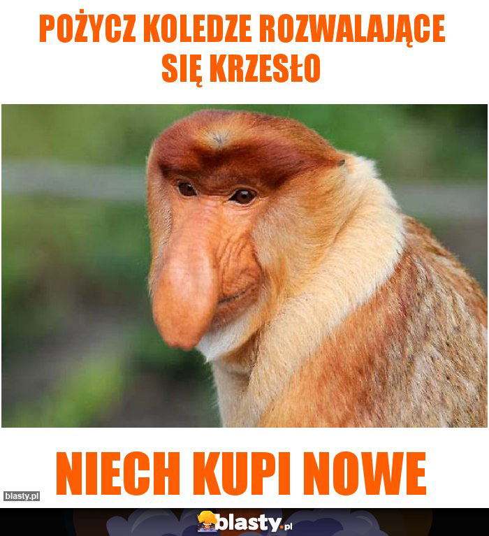 POŻYCZ KOLEDZE ROZWALAJĄCE SIĘ KRZESŁO