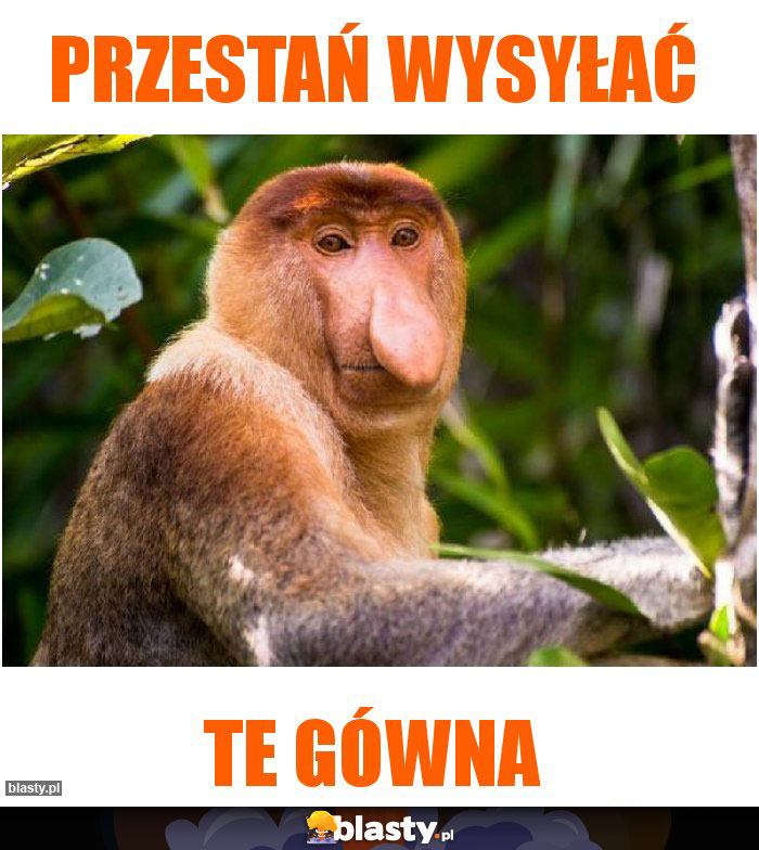 Przestań wysyłać