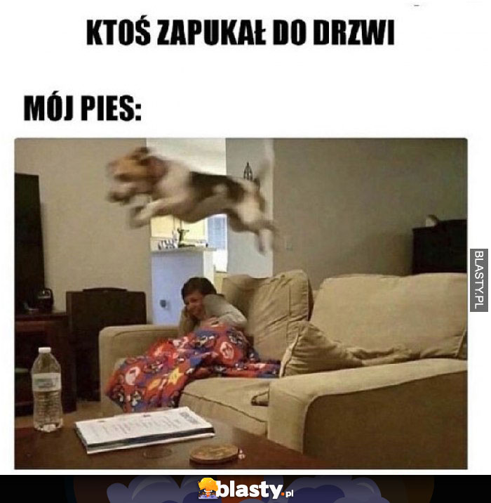 Pukanie do drzwi