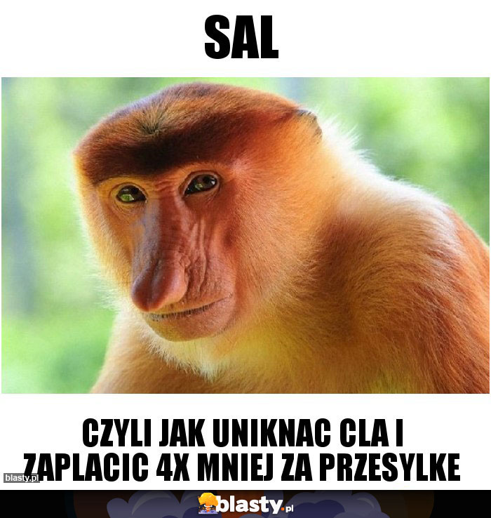 SAL