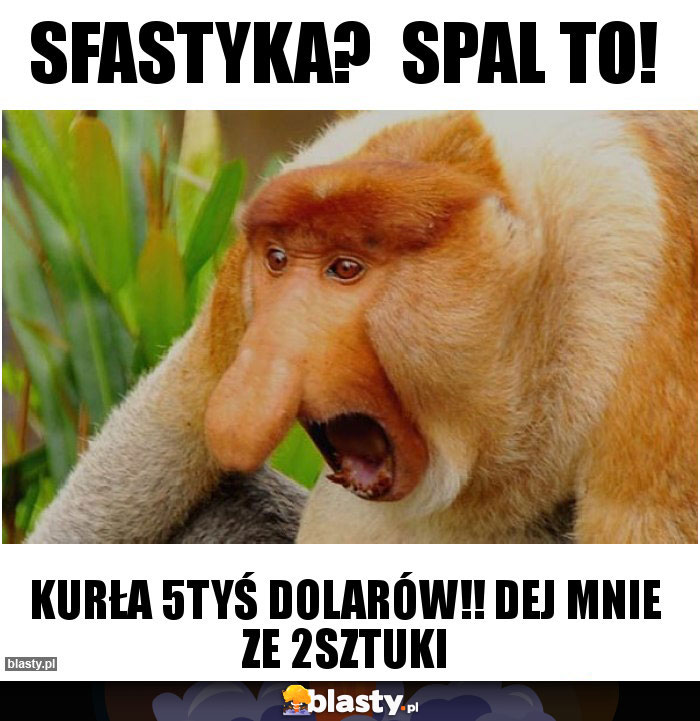 SFASTYKA?  SPAL TO!