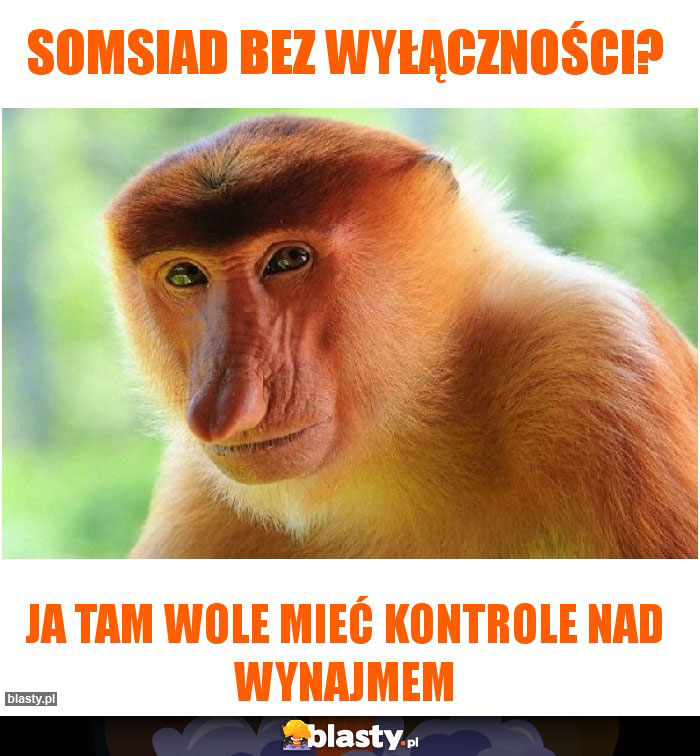 somsiad bez wyłączności?