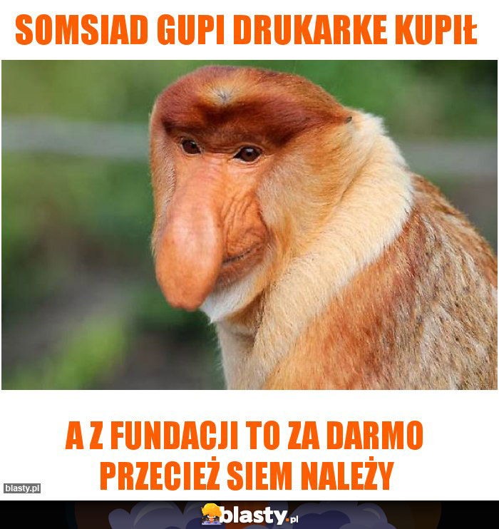 somsiad gupi drukarke kupił