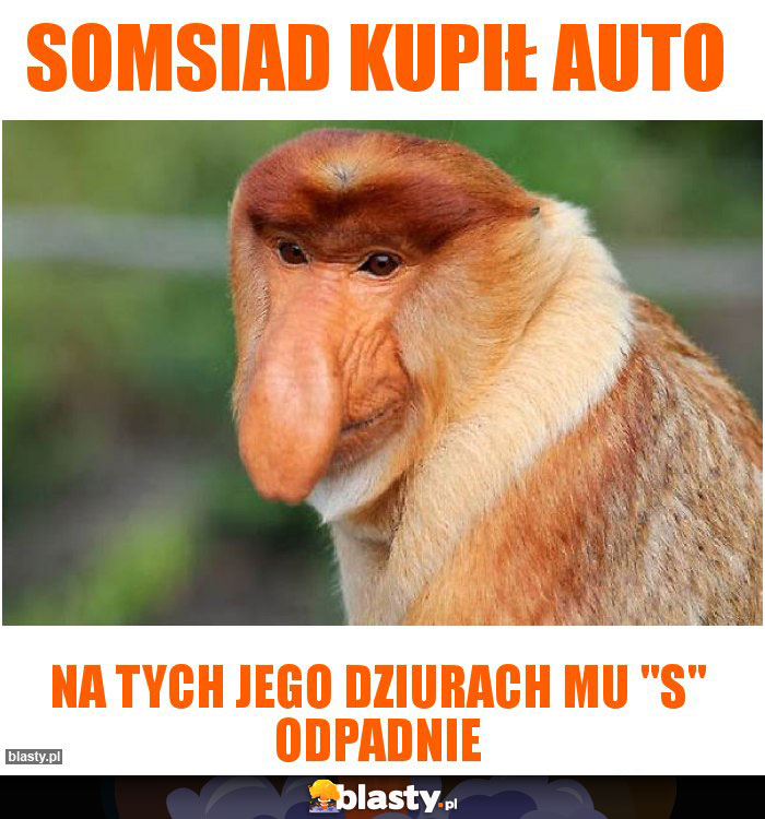 somsiad kupił auto