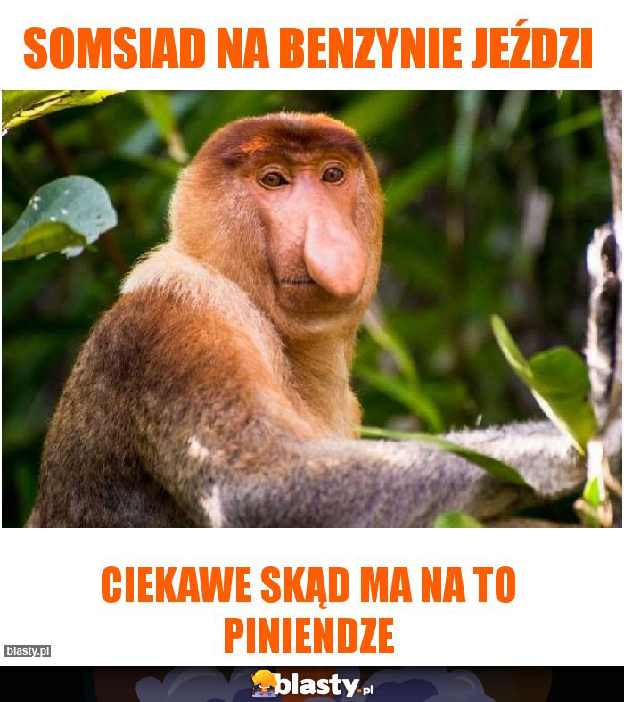 somsiad na benzynie jeździ