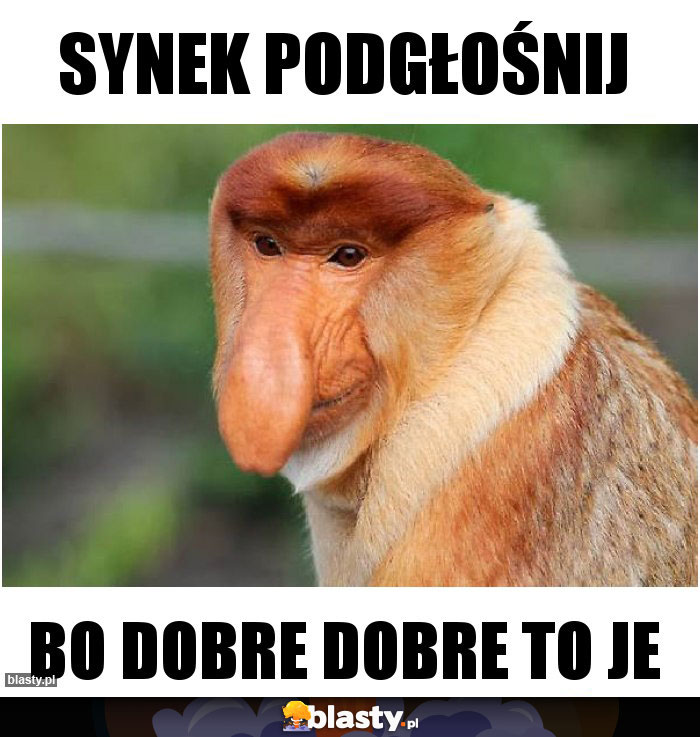 synek podgłośnij