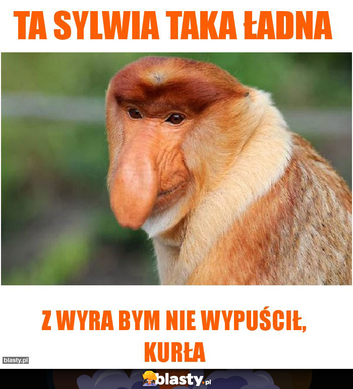 Ta Sylwia taka ładna