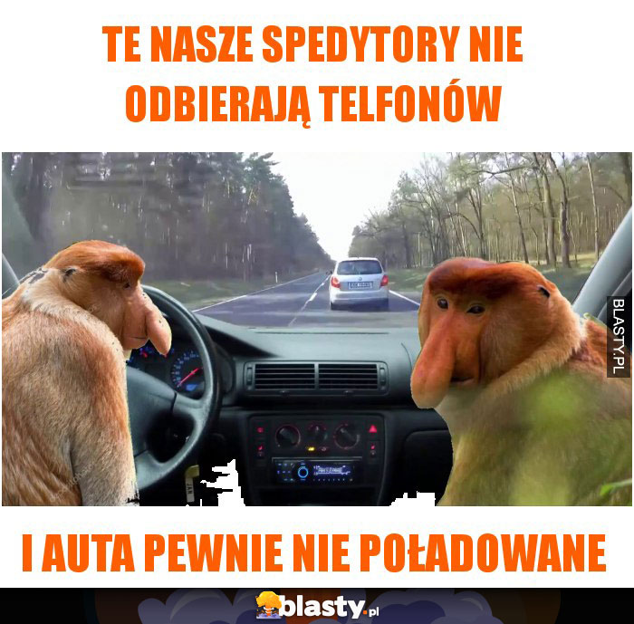 te nasze spedytory nie odbierają telfonów