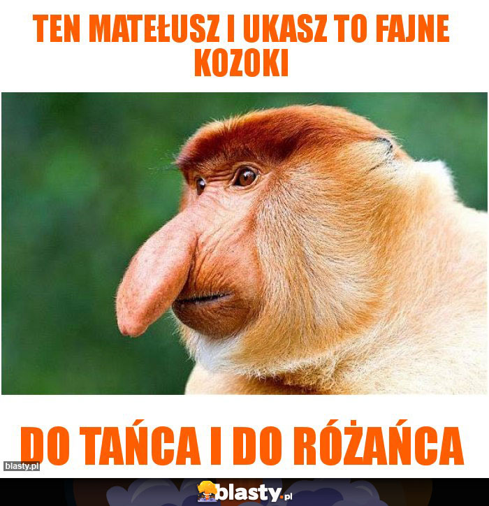 Ten Matełusz i Ukasz to fajne kozoki