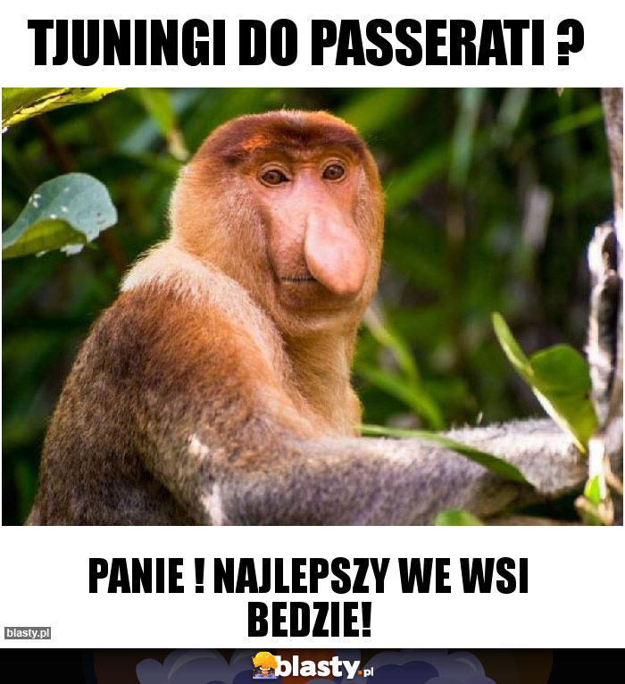 Tjuningi do passerati ?