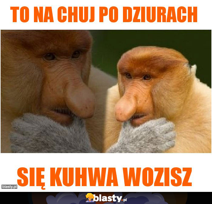 To na chuj po dziurach