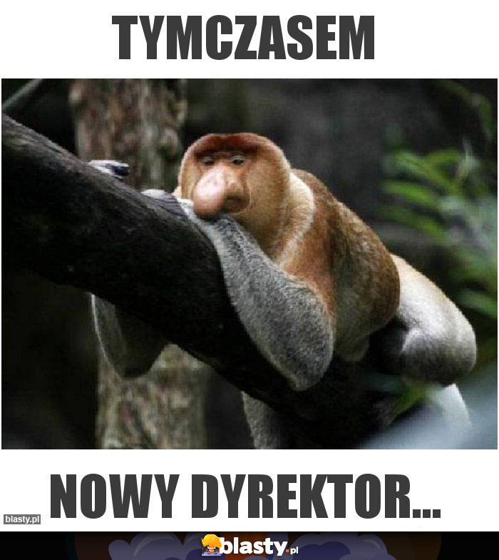 Tymczasem