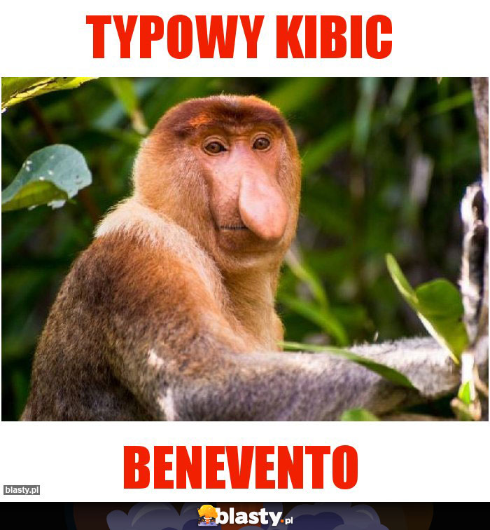 Typowy kibic