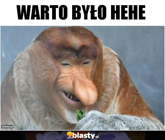 Warto było hehe