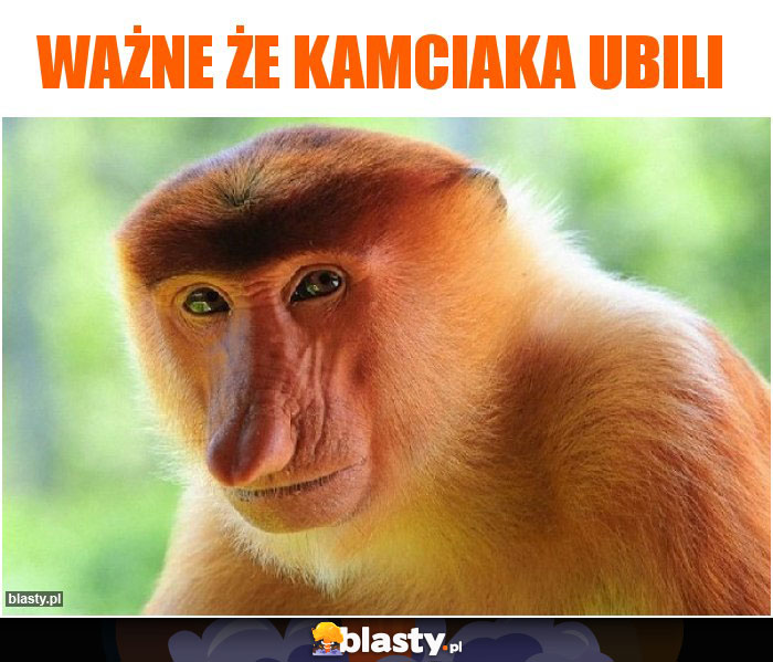 WAŻNE ŻE KAMCIAKA UBILI