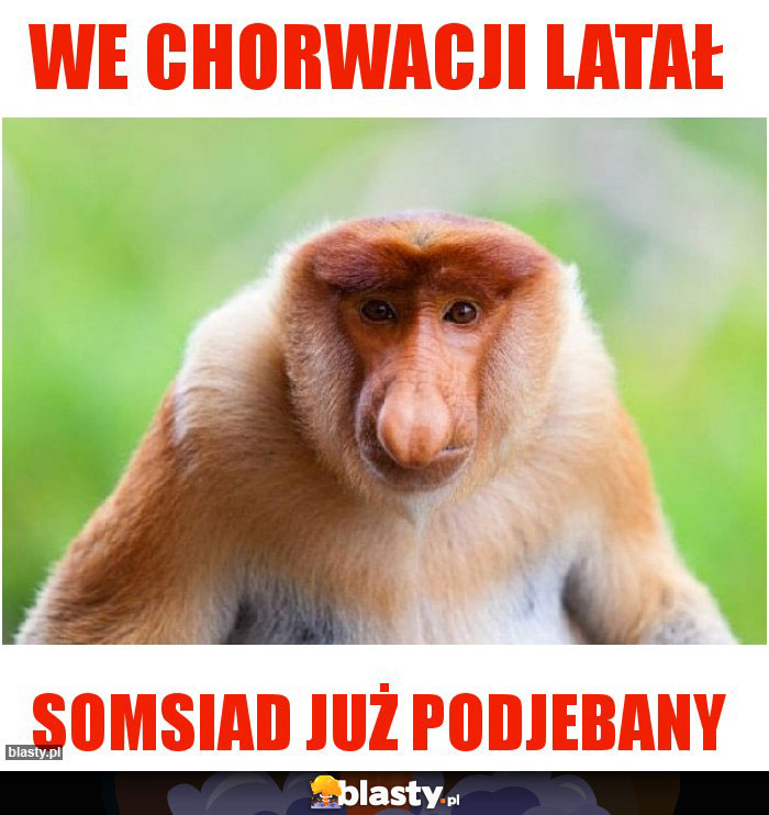 We Chorwacji latał